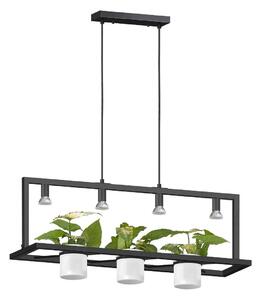 Zuma Line P0536-04B-P7AB závesné stropné svietidlo PLANTER | 7W GU10
