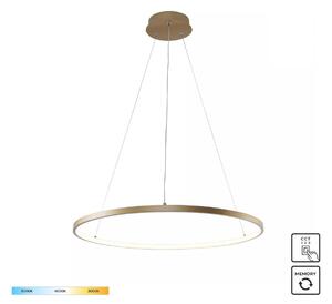 Zuma Line 2023201-GD60 LED závesné stropné svietidlo BRENO | 28W integrovaný LED zdroj | 3000/4000/6000K