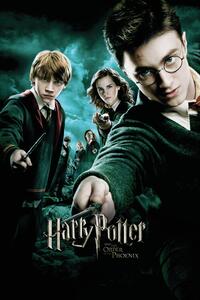 Umelecká tlač Harry Potter and The order of the Phoenix