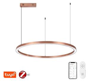 Immax NEO 07327L - stmievateľný LED luster na lane FINO 55W/230V 80 cm ružové zlato Tuya+DO