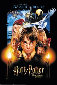Plagát, Obraz - Harry Potter a Kameň mudrcov, (61 x 91.5 cm)