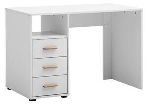 PÍSACÍ STÔL, biela, 109/58/74 cm Livetastic - Online Only kancelárie, Online Only