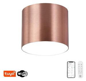 Immax NEO 07320L - LED stmievateľné stropné svietidlo RONDATE 32W/230V 16,5 cm Wi-Fi Tuya ružové