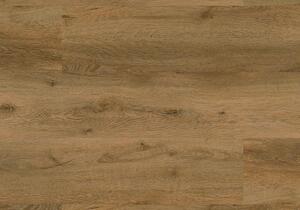 FLOOR FOREVER Authentic oak click rigid Dub cisársky 1040 - 2.21 m2