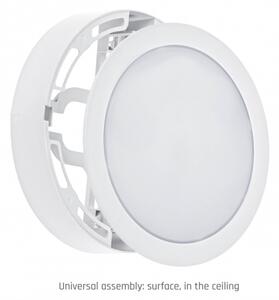LED Podhľadové svietidlo ALGINE 2v1 LED/12W/230V 4000K biela