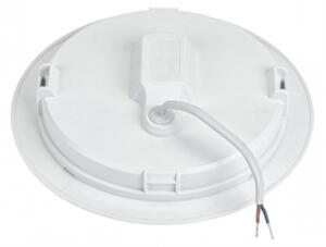 LED Podhľadové svietidlo ALGINE 2v1 LED/12W/230V 4000K biela