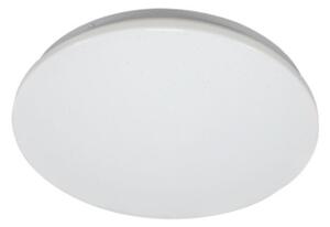 Rabalux 71507 - LED stropné svietidlo LUCAS2 LED/12W/230V 4000K, priemer 25,5 cm