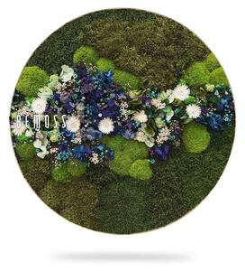 Machový obraz kruh RASTLINY Acebo BLUE - Priemer 40 cm