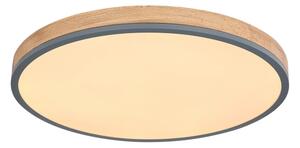 Globo 416080WD4R-CCT - LED Stmiev. stropné svietidlo DORO LED/40W/230V 2700-6500K + DO