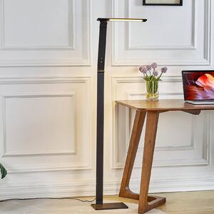 Stmievateľná stojaca LED lampa Salome farba svetla, Čierna, Pracovňa / Kancelária, Hliník, Moderný, Stolová lampa