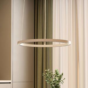LED závesné svietidlo PERFORA PRO M, Ø 66 cm, biela, DALI, smer svetla, Biela / opálová, Obývacia izba / jedáleň, Hliník, Moderný, Závesné svietidlo