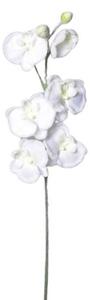 Umelá zasnežená Orchidea biela, 81 cm