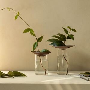 Sklenená váza na množenie rastlín Cresco Propagation - set 2 ks