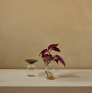 Sklenená váza na množenie rastlín Cresco Propagation - set 2 ks
