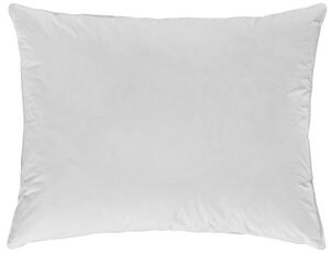 VANKÚŠ, 70/90 cm Sleeptex - Prikrývky & vankúše