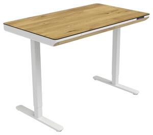 PÍSACÍ STÔL, biela, dub artisan, 120/70/73-118 cm Xora - Kancelárske stoly