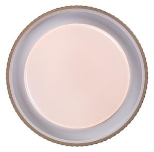 Rabalux 71345 - LED stmievateľné stropné svietidlo PASTELLO LED/48W/230V 3000-6500K priemer 49,5 cm + diaľkový ovládač