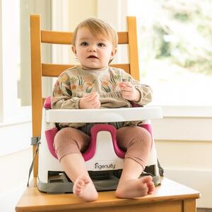 INGENUITY Podsedák na stoličku 2v1 Baby Base Pink Flambe 6m+ do 22 kg