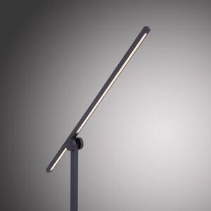 PURE Grafo stolová LED lampa, snímačový stmievač