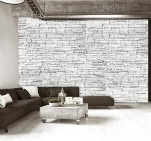 Fototapeta Biela tehla - White Brick - 100x70