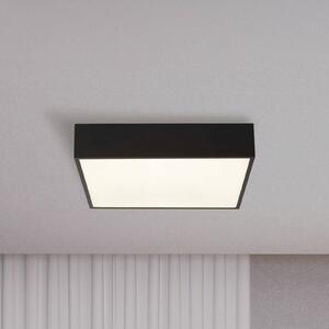 Stropné LED svetlo do kúpeľne Zeus, čierne, dĺžka 30 cm, kovové, Čierna, Kúpeľňa, Hliník, Moderný, Stropné svetlo