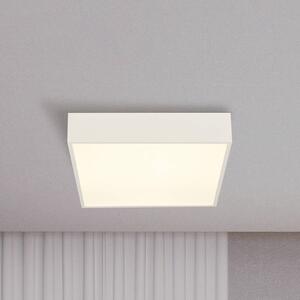 Stropné LED svetlo do kúpeľne Zeus, biele, dĺžka 30 cm, kovové, Biela / opálová, Kúpeľňa, Hliník, Moderný, Stropné svetlo