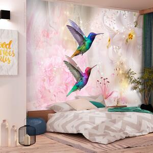 Fototapeta farebné kolibríky - Colourful Hummingbirds