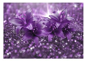 Fototapeta purpurová ľalia - Masterpiece of Purple
