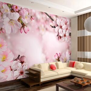 Fototapeta jarný čerešňový kvet - Spring Cherry Blossom - 100x70