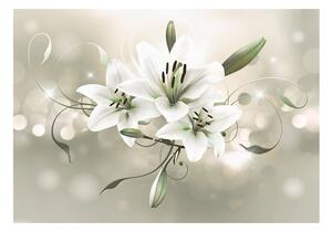 Fototapeta kvet majstrov ľalia - Lily: Flower of Masters - 100x70