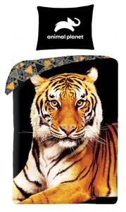 Halantex Bavlnené obliečky 140x200 + 70x90 cm - Animal Planet Tiger + VAK