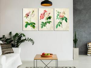 Obraz kolekcia kvetov - Floral Trio