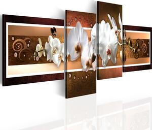 Obraz orchidea v abstrakcii - Elegant orchids in abstraction