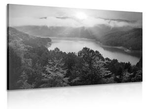 Obraz rieka uprostred lesa v čiernobielom prevedení