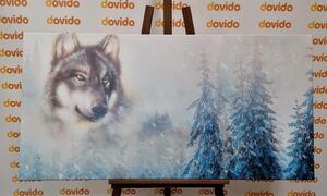 Obraz vlk v zasneženej krajine