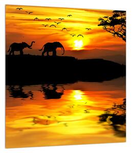 Obraz africkej krajiny so slonom (30x30 cm)