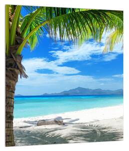 Obraz palmy a pláže (30x30 cm)