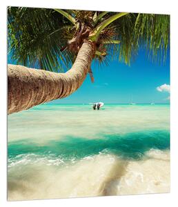 Obraz čistého mora s palmou (30x30 cm)