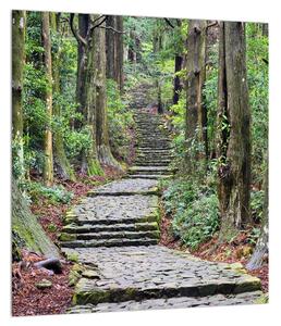 Obraz kamenných schodov v lese (30x30 cm)
