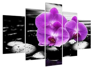 Obraz kvetov orchidee (150x105 cm)