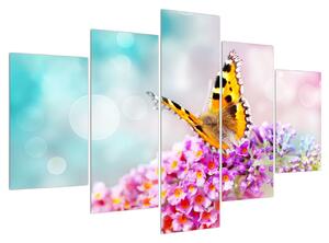 Obraz motýľa na kvetoch (150x105 cm)