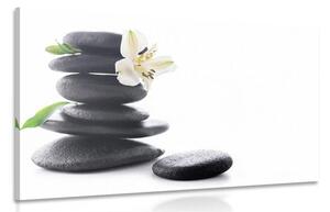 Obraz Zen kamene s ľaliou
