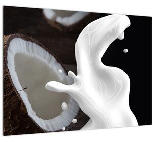 Obraz - kokosové mlieko (70x50 cm)