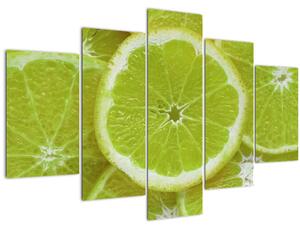 Obraz - citróny na reze (150x105 cm)
