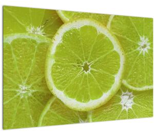 Obraz - citróny na reze (90x60 cm)