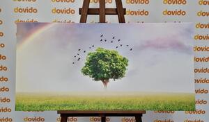 Obraz osamelý strom na lúke