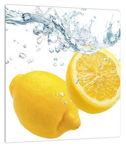 Obraz citrónov (30x30 cm)