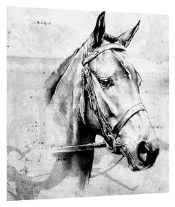 Obraz - portrét koňa (30x30 cm)
