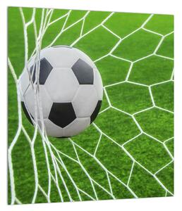 Obraz futbalovej lopty v sieti (30x30 cm)