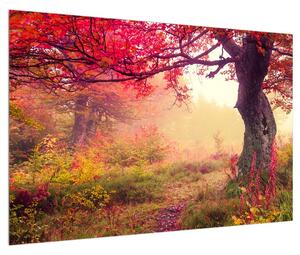Obraz jesennej lesnej krajiny (90x60 cm)
